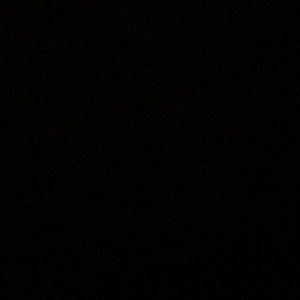 Meet your Posher, Priscilla